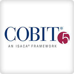 cobit 5 training